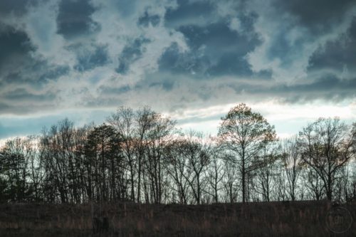 IMG 1187-1