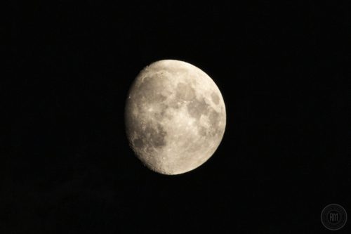 IMG 3031-1