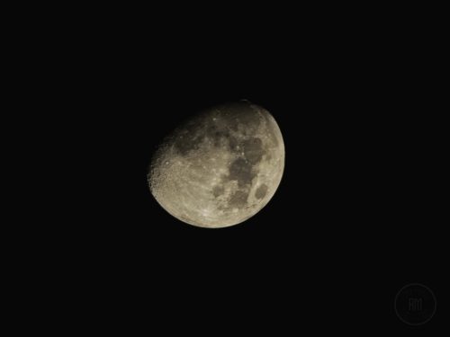 IMG 5350-Enhanced-NR-1