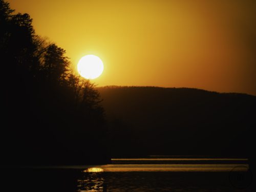 IMG 6157-1