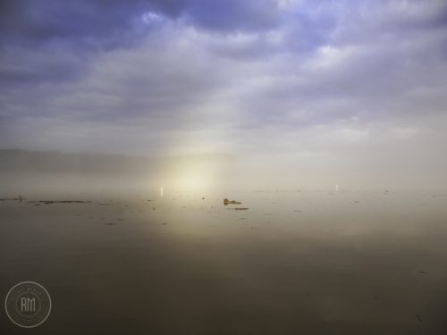IMG 7084-1
