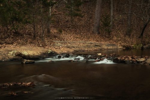 IMG 7488-copy