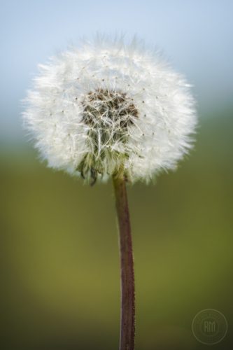 IMG 7593-2