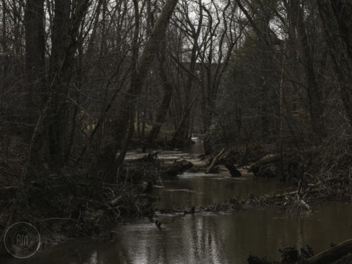 IMG 8677-1