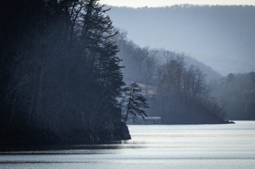 IMG 9505-copy