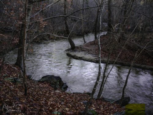 IMG 9796-copy