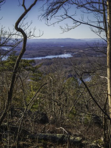 IMG 9895-2