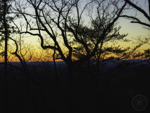 IMG 9995-1
