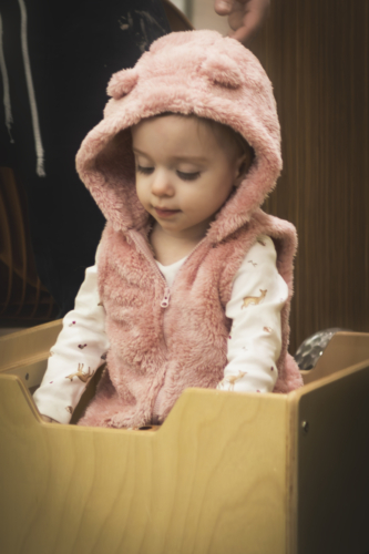 IMG 6133-Enhanced-NR