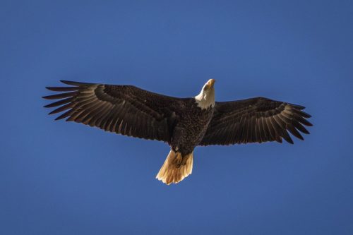 IMG 4714