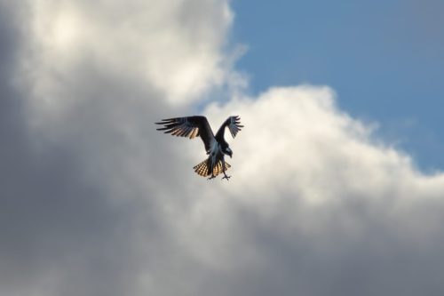 IMG 9397