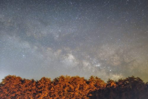 milky-copy252