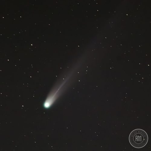 IMG 3391-copy